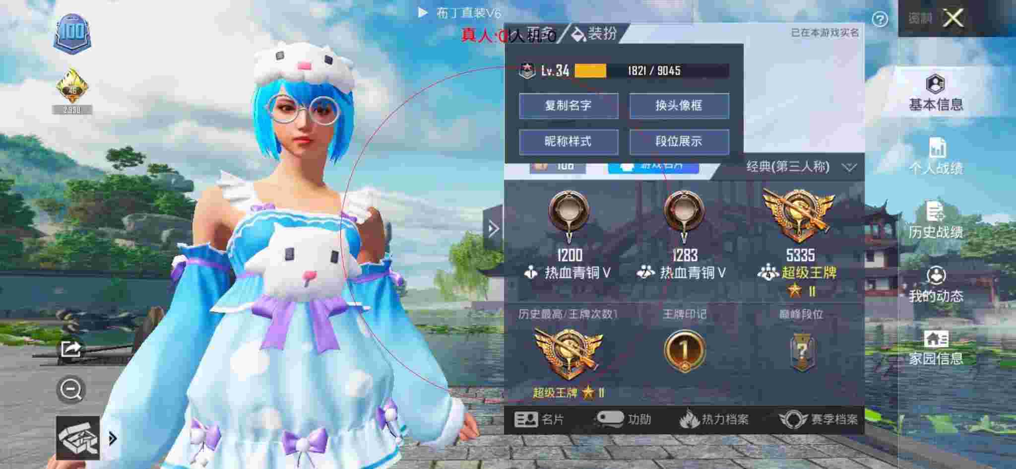 和平精英布丁直装透视 - 王者荣耀辅助上王者辅助预览图
